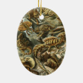 Lacertilia door Ernst Haeckel hagedieren Keramisch Ornament (Achterkant)