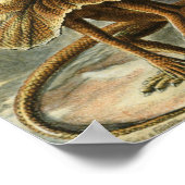 Lacertilia door Ernst Haeckel  hagedieren Poster (Hoek)