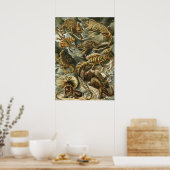 Lacertilia door Ernst Haeckel  hagedieren Poster (Keuken)