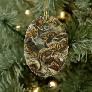 Lacertilia door Ernst Haeckel Vintage Hagedis Dier Keramisch Ornament