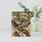 Lacertilia Lizards door Ernst Haeckel Feestdagenkaart (Staand voorkant)