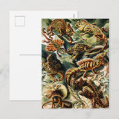 Lacertilia Lizards door Ernst Haeckel Feestdagenkaart (Voorkant / Achterkant)