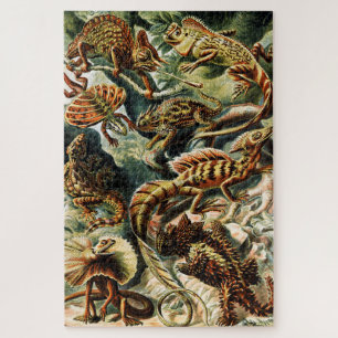Lacertilia Lizards door Ernst Haeckel Legpuzzel