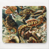 Lacertilia Lizards door Ernst Haeckel Muismat (Voorkant)