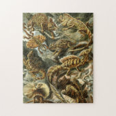 Lacertilia, scheepswerven van Ernst Haeckel Jigzaa Legpuzzel (Verticaal)