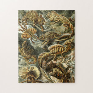 Lacertilia, scheepswerven van Ernst Haeckel Jigzaa Legpuzzel