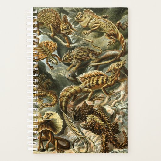 Lacertilia, scheepswerven van Ernst Haeckel Planne Planner (Voorkant)