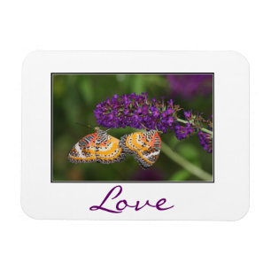 Lacewing Butterfly Duet Magneet