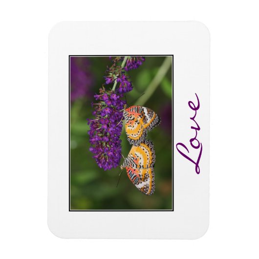 Lacewing Butterfly Duet Magneet (Verticaal)