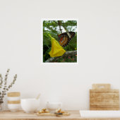 Lacewing Butterfly Poster (Keuken)