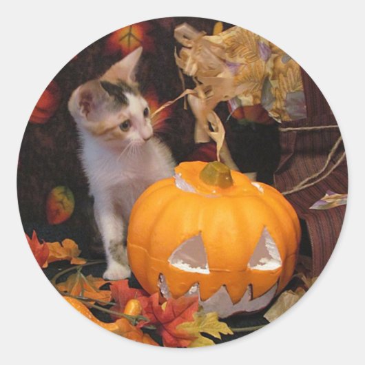 Lacey - Halloween Kat / Kitten Stickers (Voorkant)