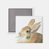 Lach als je dat eet magneet (Voorkant / Achterkant)