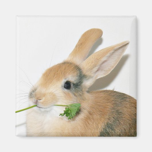 Lach als je dat eet magneet (Voorkant)