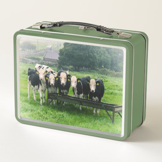 Lach alsjeblieft. Koeien (Achterkant)