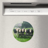 Lach alsjeblieft. Koeien Magneet (Insitu (Vaatwasser))