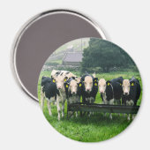 Lach alsjeblieft. Koeien Magneet (Voorkant / Achterkant)