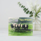 Lach alsjeblieft. Koeien op zaterdag Briefkaart (Staand voorkant)