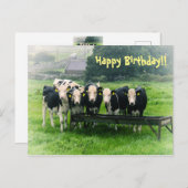 Lach alsjeblieft. Koeien op zaterdag Briefkaart (Voorkant / Achterkant)