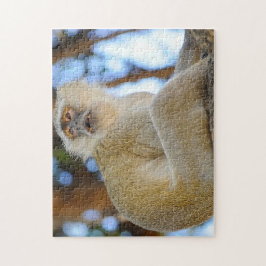 Lach. Botswana Velvet Monkey. Legpuzzel (Verticaal)