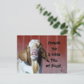 Lach... Briefkaart (Staand voorkant)