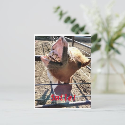 Lach! Briefkaart (Staand voorkant)