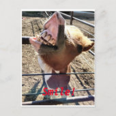 Lach! Briefkaart (Voorkant)