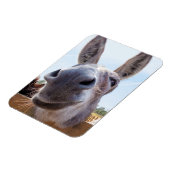Lach Donkey Magnet Magneet (Linkerzijde)