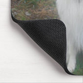 LACH! ELKE DAG IS EEN COLLIE-DAG! MUISMAT (Hoek)