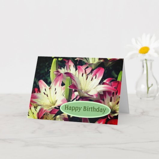 Lach Lily Flowers Birthday Kaart (Kleine Plant)