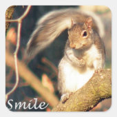 Lach Mr Squirrel Sticker (Voorkant)