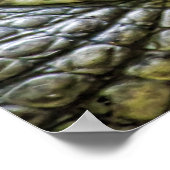 Lach nooit op een krokodil! poster (Hoek)