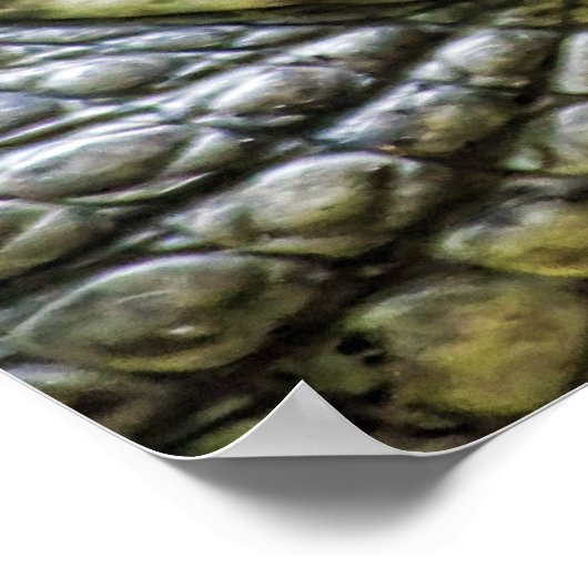 Lach nooit op een krokodil! poster (Hoek)