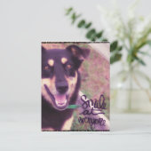 Lach op Iedereen Dog Briefkaart (Staand voorkant)