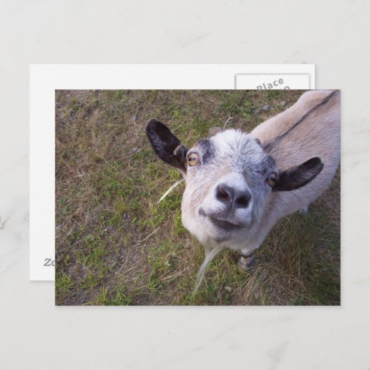 Lach voor de camera briefkaart (Voorkant / Achterkant)