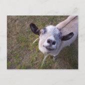 Lach voor de camera briefkaart (Voorkant)