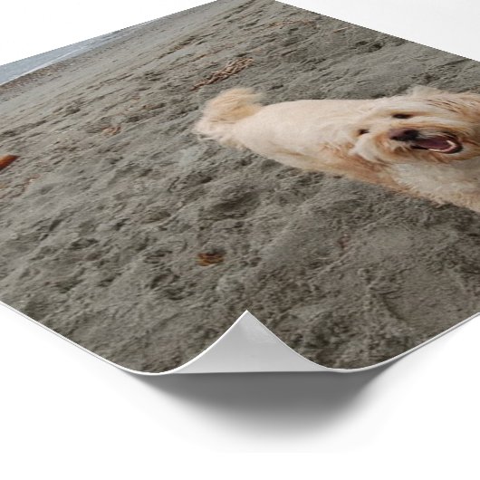 lachen2 poster (Hoek)