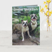 Lachen aan je denken Mis je Kaart (Gele Bloem)