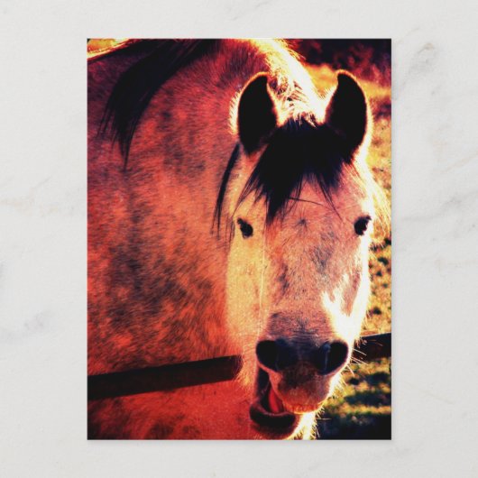 Lachen Briefkaart (Voorkant)