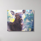 Lachen Canvas Afdruk (Voorkant)