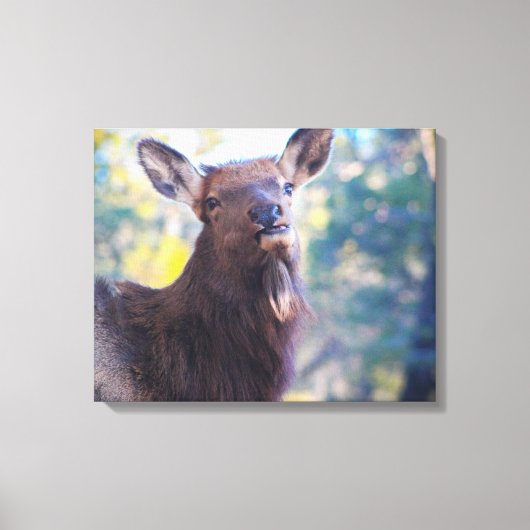 Lachen Canvas Afdruk (Voorkant)