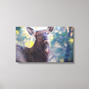 Lachen Canvas Afdruk