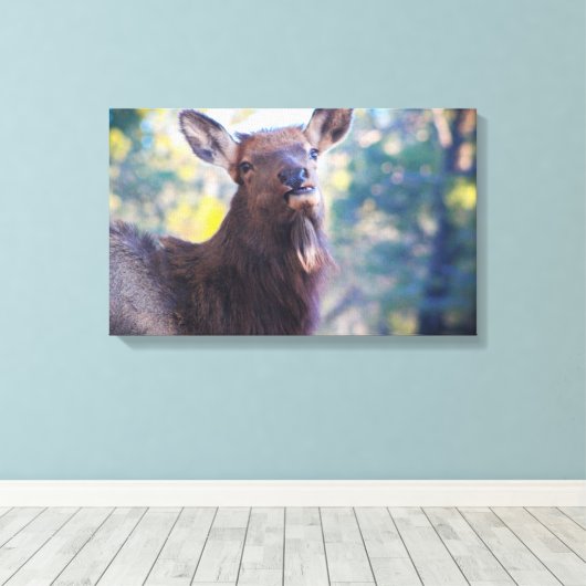 Lachen Canvas Afdruk (Insitu (Houten vloer))