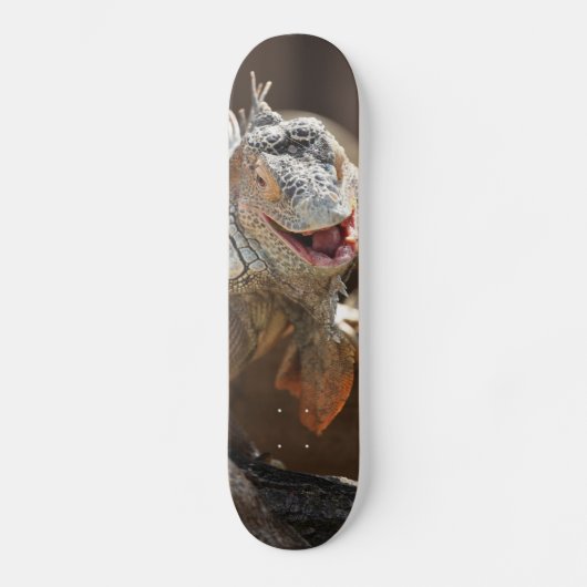 Lachen Iguana Fotografie Skateboard (Voorkant)