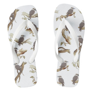 Lachen Kookaburra Australische vogel Eucalyptus Teenslippers