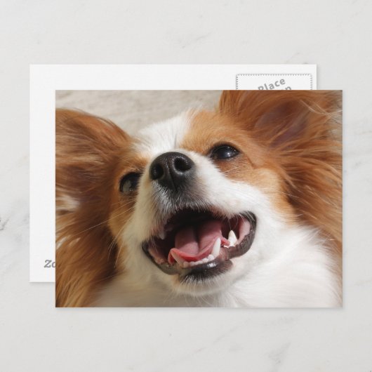 Lachen Papillon Dog Briefkaarten (Voorkant / Achterkant)
