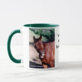 Lachen StandardBred Horse Mok (Links)