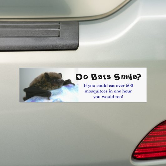 "Lachen vleermuizen?" Bumpersticker (Op auto)