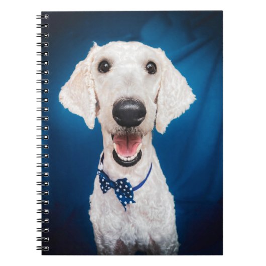 Lachend Funny Poodle Spiraalvormig Notitieboek (Voorkant)