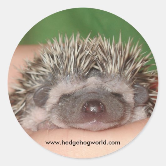 Lachende baby sticker (Voorkant)