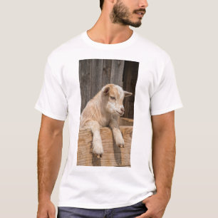 Lachende babygeit rustieke boerderij muurkunst can t-shirt